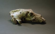 Groaner skull - side profile